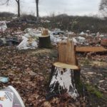 Dépôt sauvage et déboisement - ancien camp de Rom - Mery-sur-Oise- 2017 - Mélisande BOURGEOIS