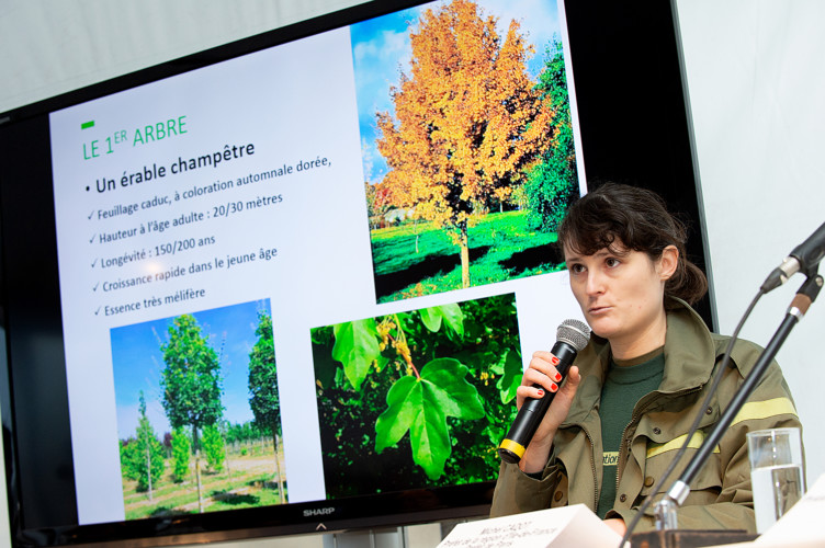 Claire Nowak, responsable service forêt à l'ONF présente le premier arbre
©CDVO/Carole Desheulles